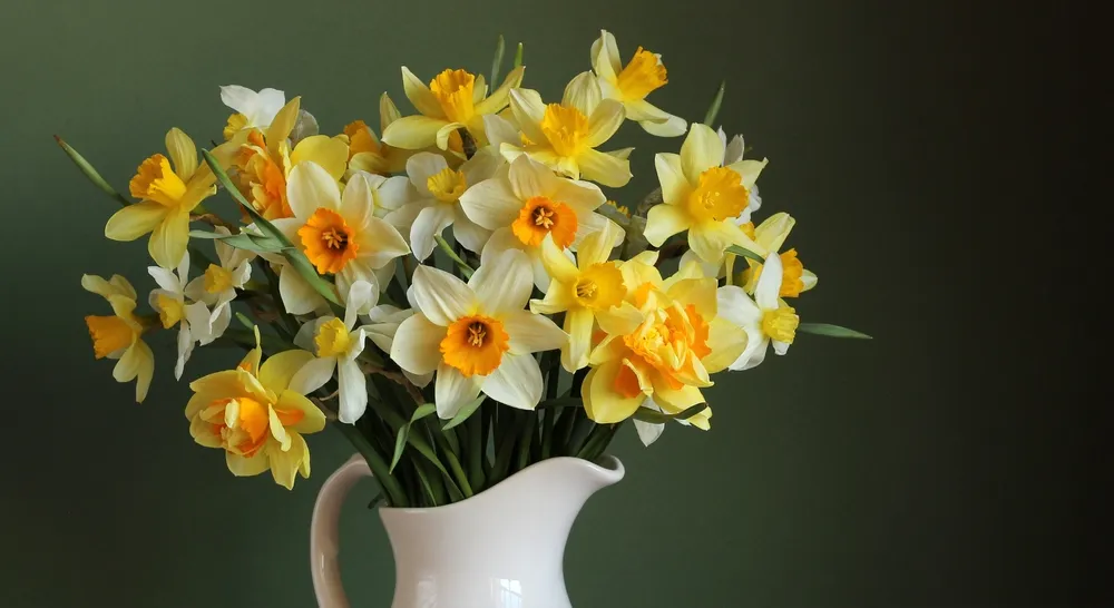 buchet de narcise in vaza 